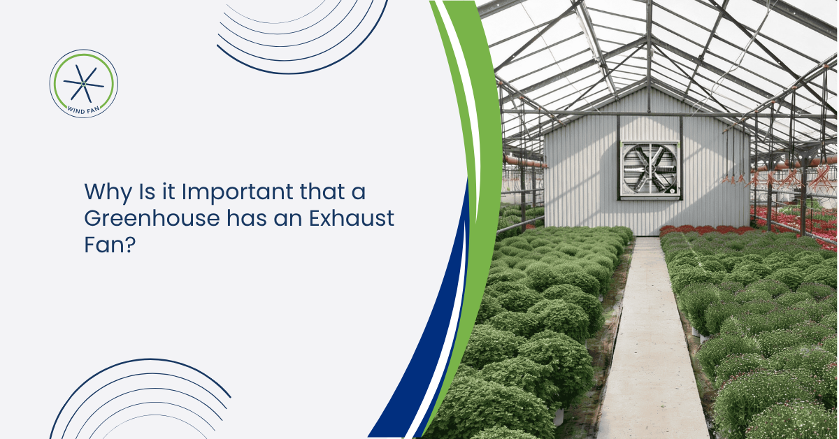 Why Is it Important that a Greenhouse has an Exhaust Fan?